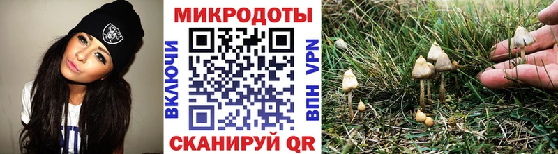 Галлюциногенные грибы Psilocybe  blacksprut зеркало  Каргат 